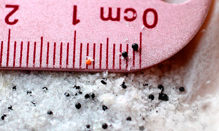 microbeads-5-gyres.png