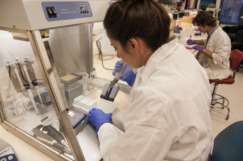 Jessica Lo Surdo, M.S. (foreground), a staff scientist at the Food and Drug Administration, studies chain reactions in stem cells in an FDA laboratory on the National Institutes of Health campus in Bethesda, Md.