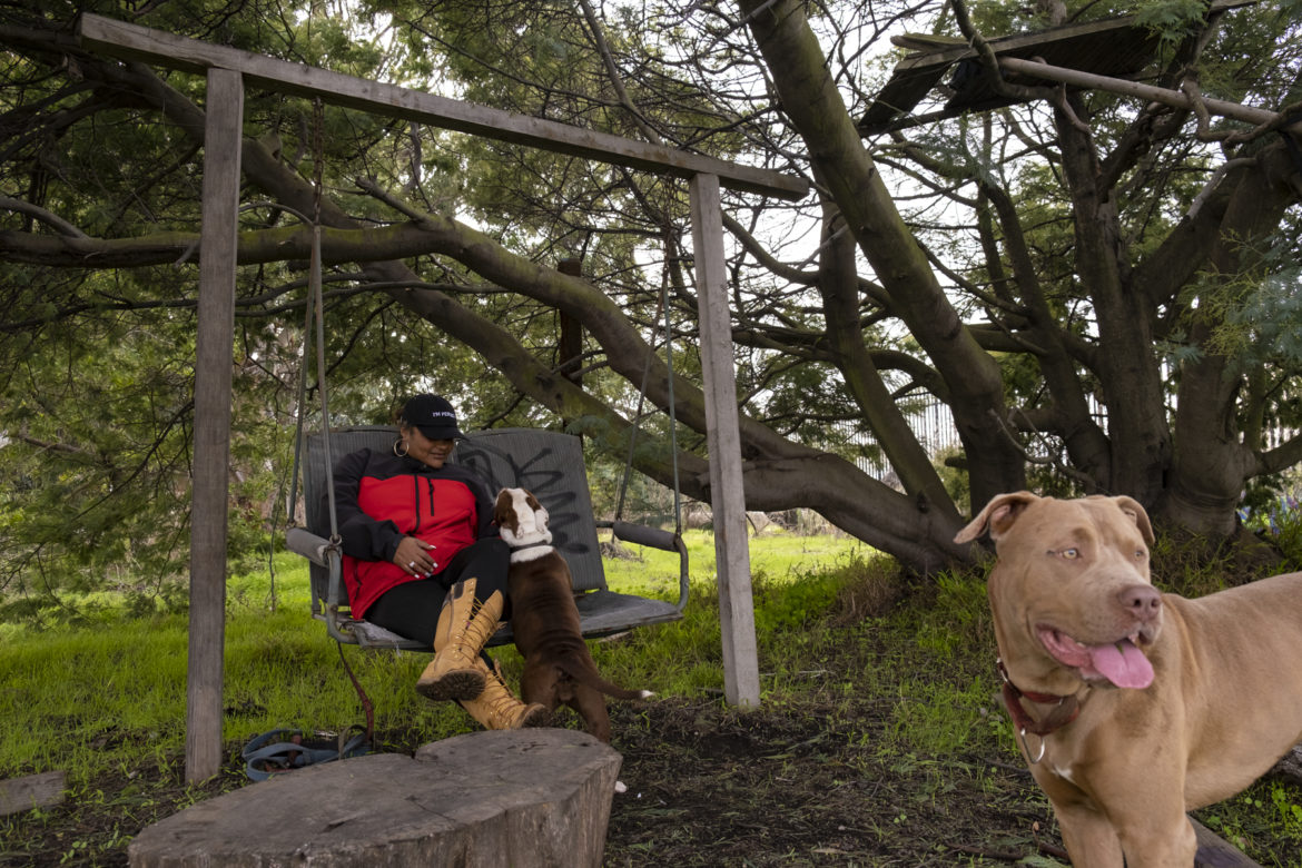 Tolbert and her pit bulls Bonnie and Bosco visit the North Shore Yosemite Slough Park. Her daily routine is to let her dogs run free in the fields while she watches the peach-colored sunsets. Tolbert and her pit bulls Bonnie and Bosco visit the North Shore Yosemite Slough Park. Her daily routine is to let her dogs run free in the fields while she watches the peach-colored sunsets.