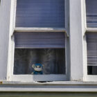 A crochet teddy bear peeks through the window of a family home in the Ingleside neighborhood. The teddy bear wears blue scrubs, a stethoscope and a mask.