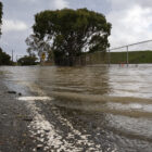 An orange traffic cone marks the edge of a flooded roadway, which fills most of the frame. There is a fence on the right hand side and leafy trees and a low grassy hill in the background.