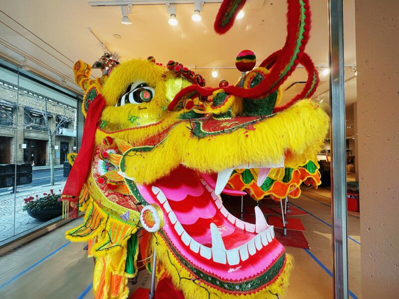 A large decorative yellow parade dragon head with multicolored accents appears with an open mouth featuring a pink and red paper mache tongue and large white teeth with fangs.