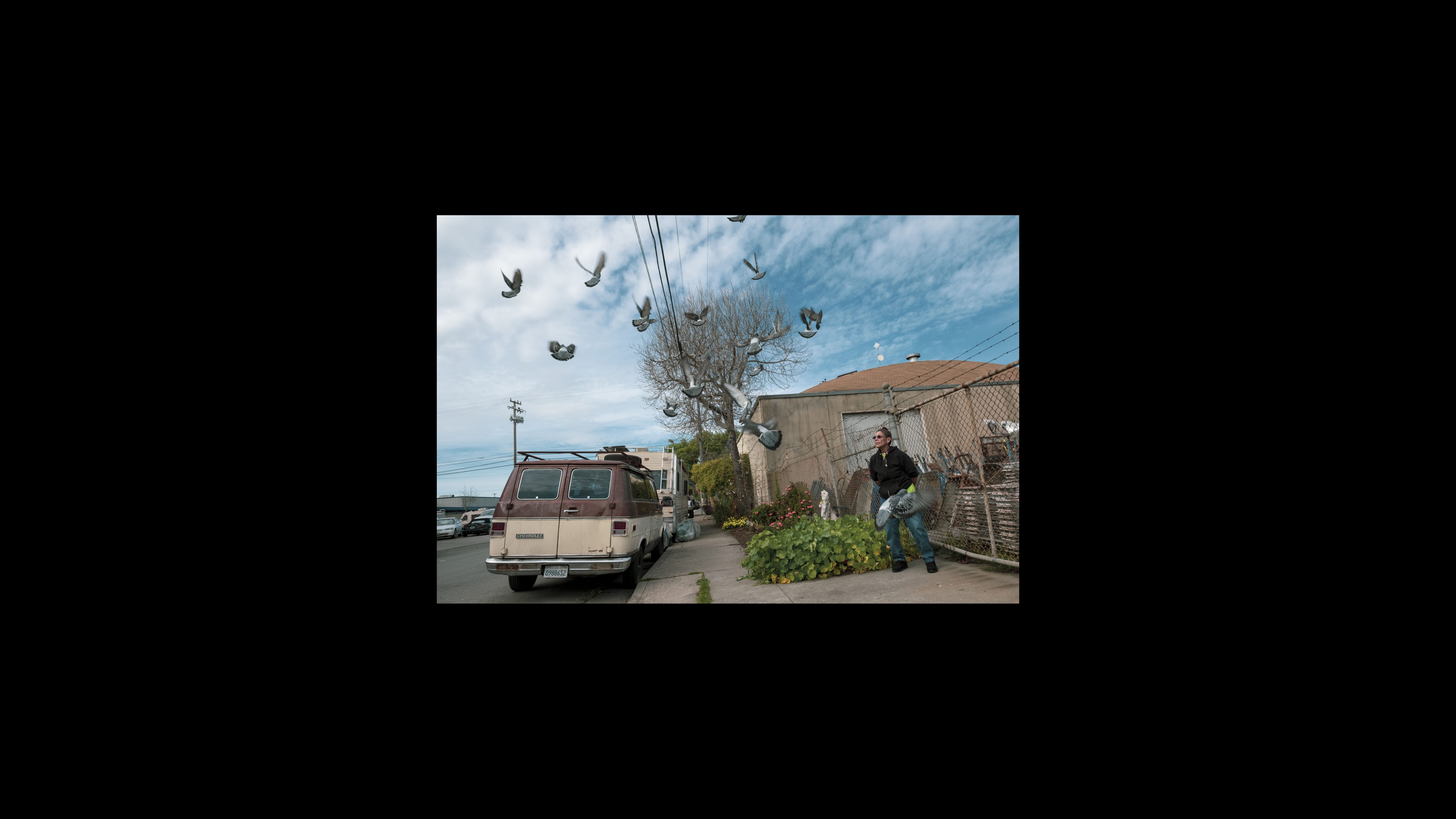 Merced Domínguez observa a las palomas volar sobre su jardín en la calle Octava. "Todos los días, me siguen a donde quiera que vaya," dijo Domínguez, arrojando alpiste en la banqueta. “Todo el camino hasta el Dollar Tree y de vuelta a casa. Solo están esperando que los alimente." La rutina habitual de Domínguez consiste en colocar comida y agua en la banqueta afuera de su vehículo para los animales callejeros que visitan la manzana, incluyendo un gato callejero que llamó Cookie y las docenas de palomas que aparecen dos veces al día. Merced Domínguez observa a las palomas volar sobre su jardín en la calle Octava. "Todos los días, me siguen a donde quiera que vaya," dijo Domínguez, arrojando alpiste en la banqueta. “Todo el camino hasta el Dollar Tree y de vuelta a casa. Solo están esperando que los alimente." La rutina habitual de Domínguez consiste en colocar comida y agua en la banqueta afuera de su vehículo para los animales callejeros que visitan la manzana, incluyendo un gato callejero que llamó Cookie y las docenas de palomas que aparecen dos veces al día.