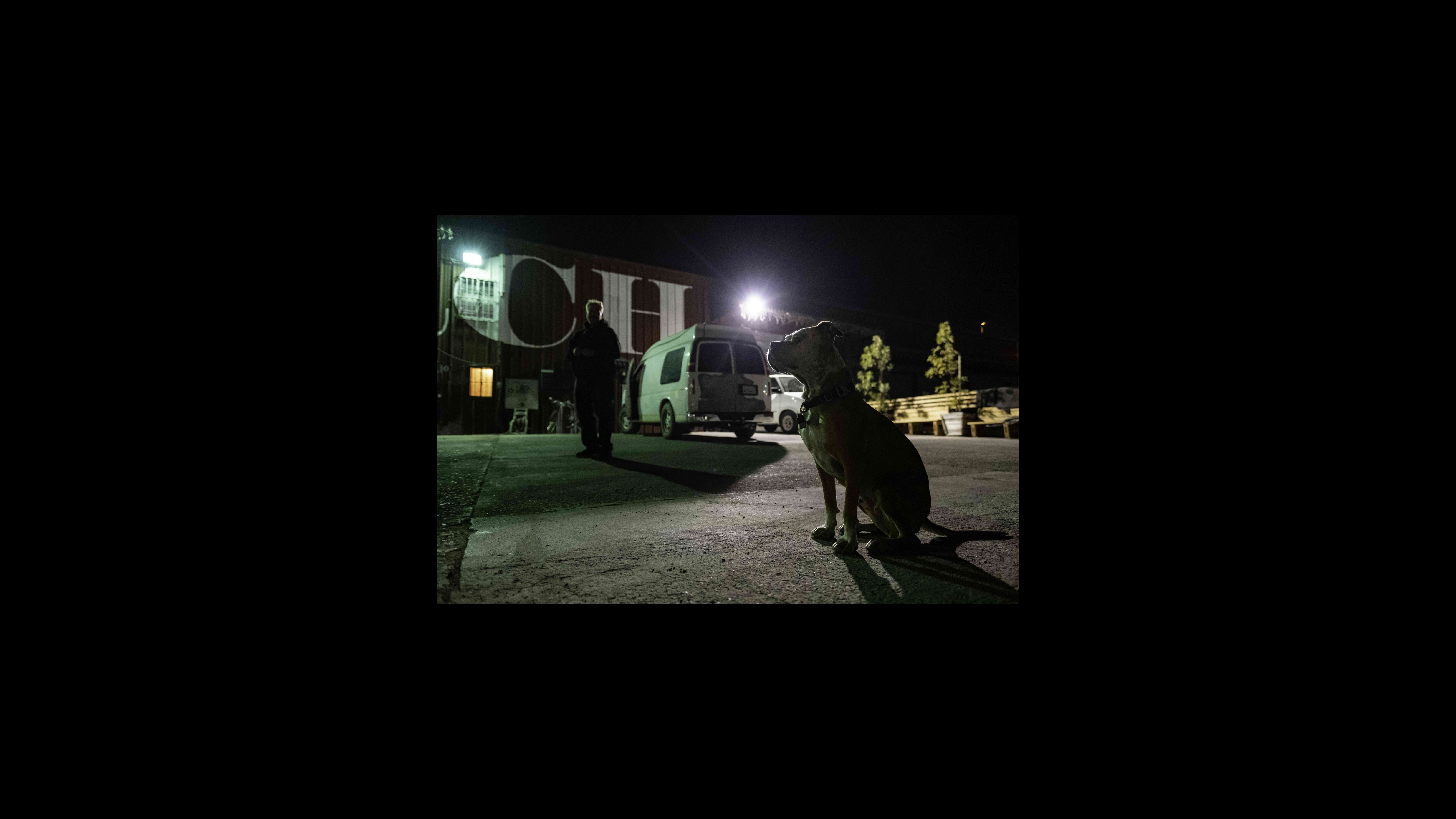 April, the tow yard guard dog, perks up her ears at the sound of nearby footsteps on Carolina Street. Nelson laughs at her sudden guard stance and how her bottom never touches the ground. During the pandemic, he gets to enjoy more of April’s companionship, spending most of his days parked down the street from the tow yard lot.
Together, they watch over the premises and discourage people from trying to camp there or scan the tow yard’s vehicles for valuables. Every day, Nelson escorts someone off the lot.
“April is my only girl,” Nelson said jokingly. “The only one that can stand me and follow me around. Everyone loves her, here. She knows this is her home.” April, the tow yard guard dog, perks up her ears at the sound of nearby footsteps on Carolina Street. Nelson laughs at her sudden guard stance and how her bottom never touches the ground. During the pandemic, he gets to enjoy more of April’s companionship, spending most of his days parked down the street from the tow yard lot. Together, they watch over the premises and discourage people from trying to camp there or scan the tow yard’s vehicles for valuables. Every day, Nelson escorts someone off the lot. “April is my only girl,” Nelson said jokingly. “The only one that can stand me and follow me around. Everyone loves her, here. She knows this is her home.”