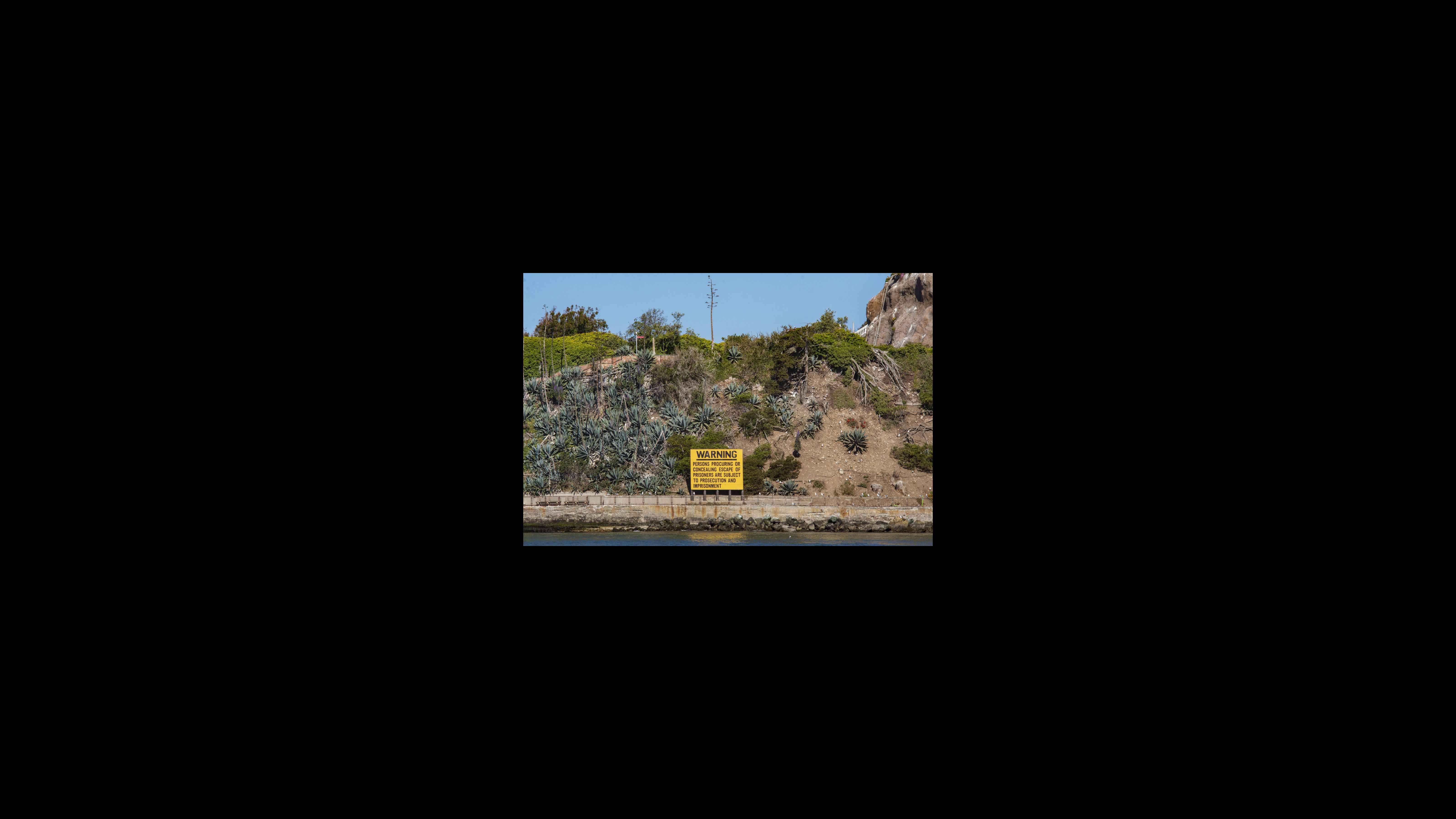 In 1933, the island was transferred to the U.S. Department of Justice and became a federal prison the following year. A yellow warning sign from that era on the agave trail cautions that visitors “concealing escape of prisoners are subject to prosecution and imprisonment.” The federal prison operated for 29 years, incarcerating a famous cast considered serious flight risks, including Al Capone, Robert Franklin Stroud (aka the "Birdman of Alcatraz"), George "Machine Gun" Kelly, Bumpy Johnson, Rafael Cancel Miranda, Mickey Cohen, Arthur R. "Doc" Barker and Alvin "Creepy" Karpis, who served 26 years on Alcatraz –– longer than any other inmate.
In 1963, the penitentiary closed, and in 1964, Alcatraz was declared surplus federal property. That is when Red Power activists first considered claiming the island, which they believed qualified by treaty for Native American land reclamation. A yellow warning sign from Alcatraz‘s prison era on the agave trail cautions that visitors “concealing escape of prisoners are subject to prosecution and imprisonment.”