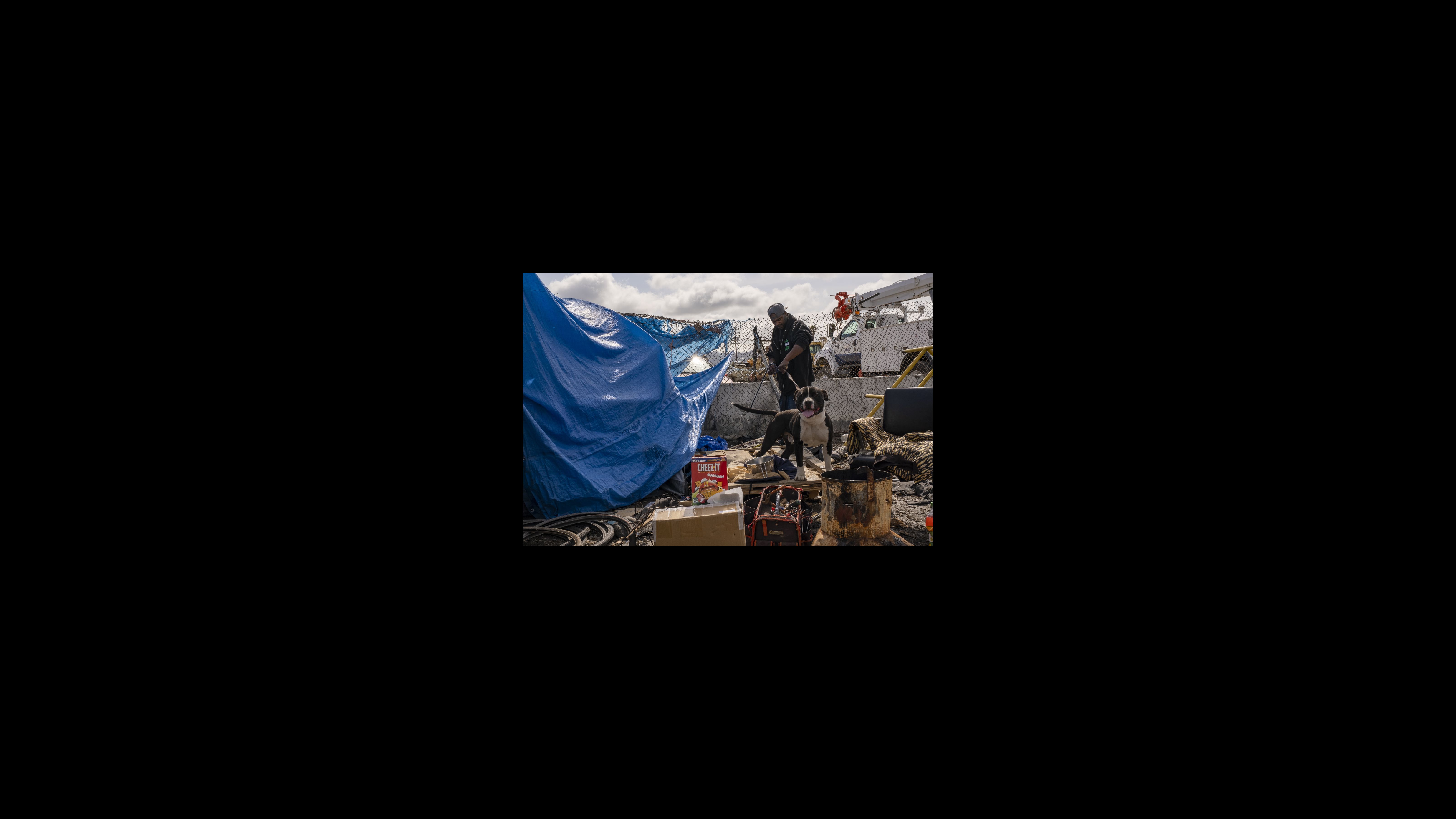 Half an hour later, L.A. retrieves his dog from the Berkeley Animal Shelter and brings him home. The dog is friendly, but his muscular appearance often scares passersby. A man secures the leash of his brown and white dog, which is standing in the middle of a pile of items being sorted into piles for keeping and discarding. There is a large blue tarp that appears to cover a tent on the left side of the image.